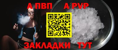 шишки Кандалакша