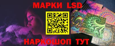 шишки Кандалакша