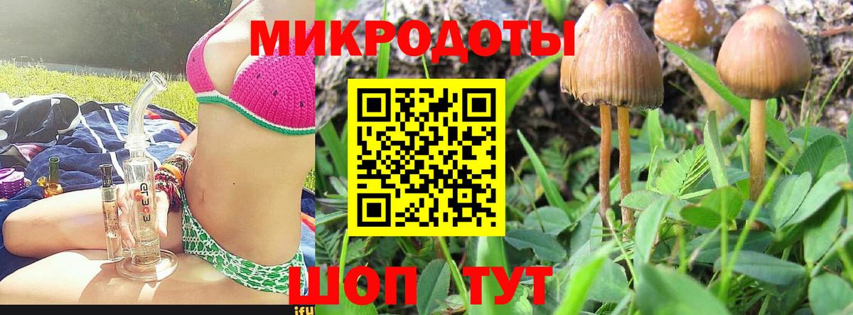 Котельники  Псилоцибиновые грибы Cubensis  Вход с VPN 